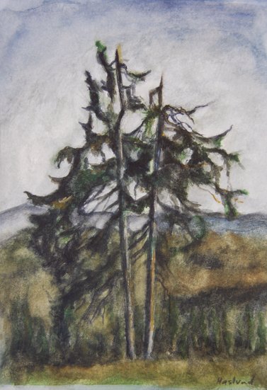 Plein air study of trees from Nordseter, LIllehammer