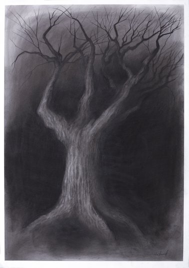Gammelt tre - Old tree 95,5x66,5 cm
