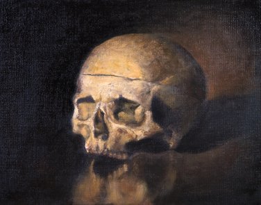 Menneskeskalle / Human skull - Sold